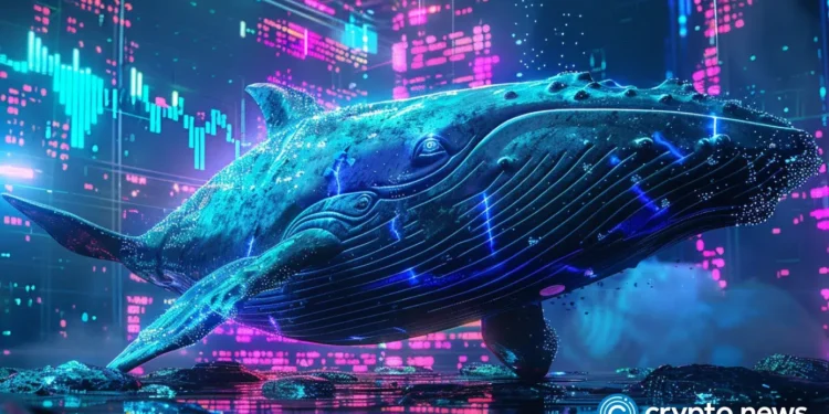 James Wynn crypto losses mount as Bitcoin and Pepe coin slips