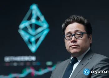 Tom Lee warns of liquidity crunch after Oct. 10 crash