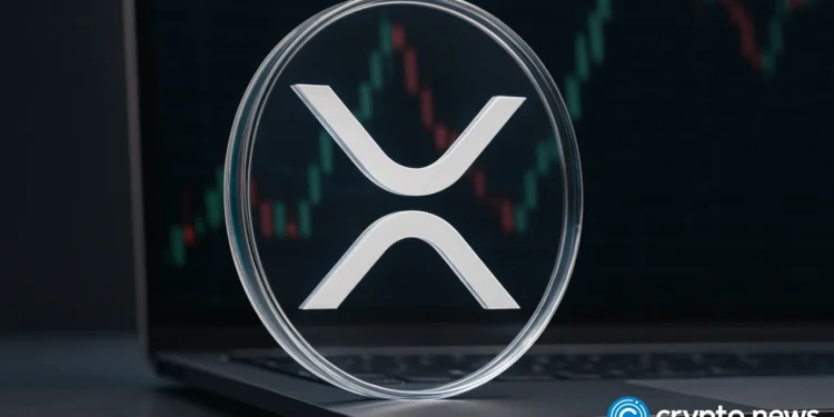 start of a rally or a dead-cat bounce?