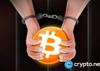 India arrests key suspect in GainBitcoin crypto Ponzi scheme