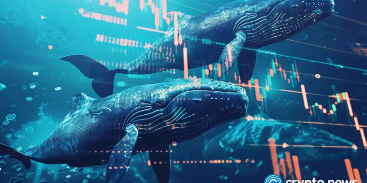 OG Bitcoin whale offloads 1,000 BTC as selling pressure intensifies