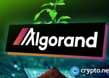 Algorand Surges 50% in a Month After Google’s Quantum Flag