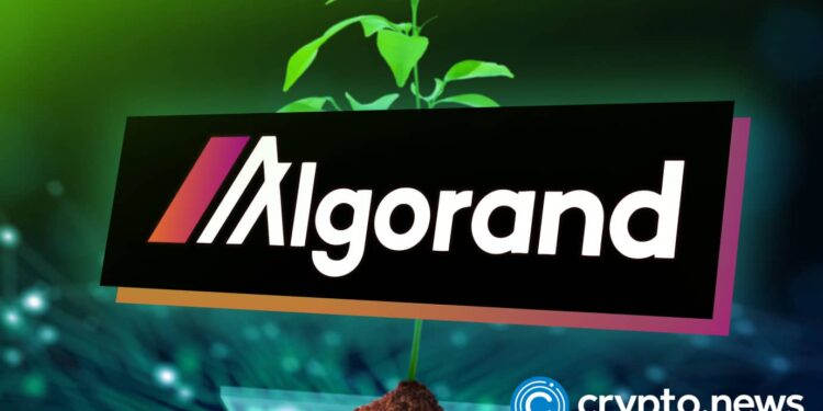Algorand Surges 50% in a Month After Google’s Quantum Flag