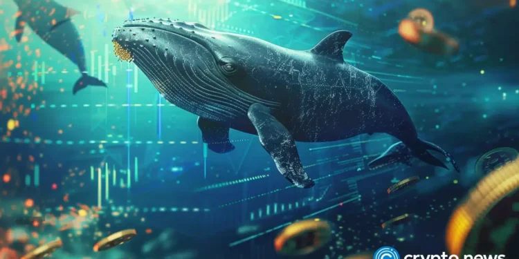 Whale transfers $20M in Bitcoin to Binance as price remains shaky