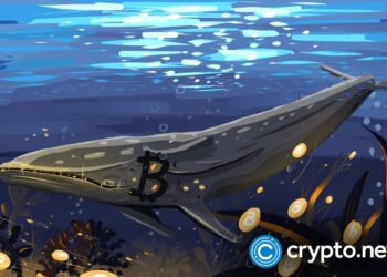 Bitcoin bottom or bull trap? Whales and bears disagree