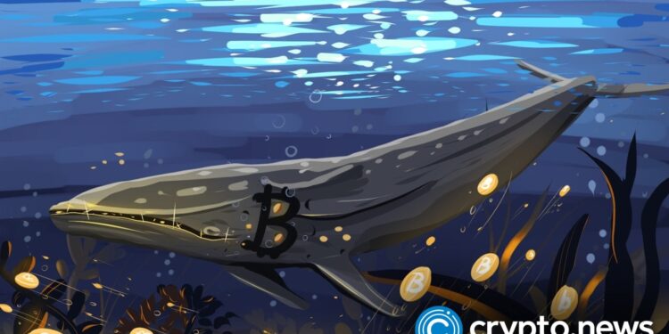 Bitcoin bottom or bull trap? Whales and bears disagree