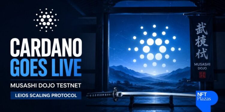 Cardano Goes Live With Musashi Dojo