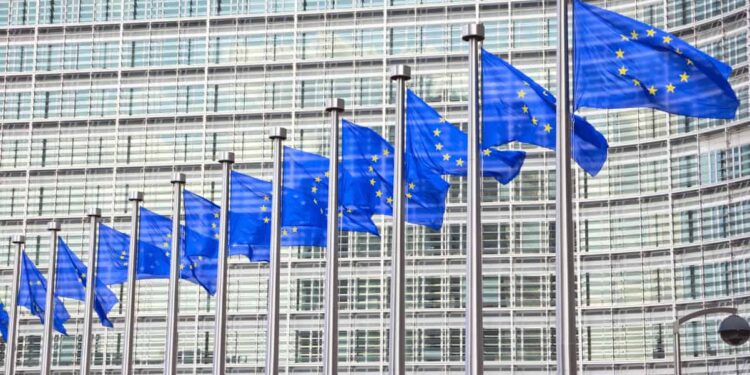 MiCA Deadline: New Rules Could Force 80% of Crypto Firms Out of EU