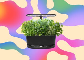 The Aerogarden I Recommend to Everyone Is Just $83 Right Now, a 63 Percent Discount