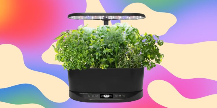 The Aerogarden I Recommend to Everyone Is Just $83 Right Now, a 63 Percent Discount