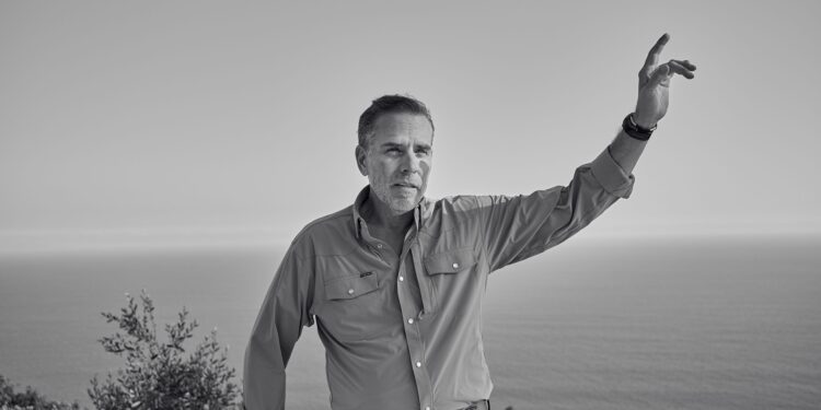 How Hunter Biden Won the Internet