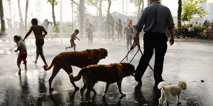 New York Is About to Feel Hotter Than Phoenix