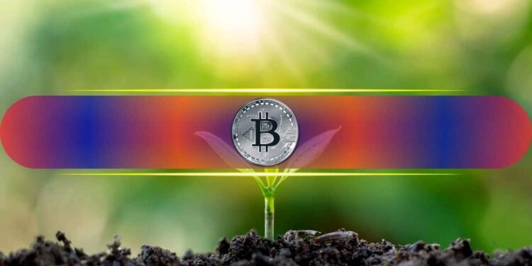 Bitcoin Pulls In $706M as Traders Abandon Short Positions in Massive Sentiment Shift