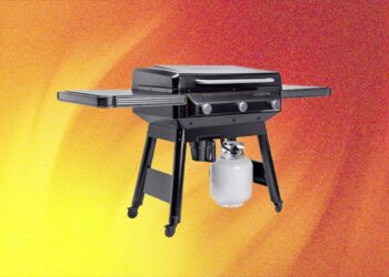 The Best July 4 Grill and Griddle Deals: Weber, Traeger, Recteq