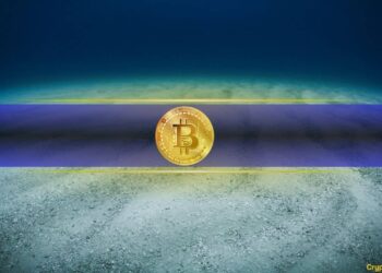 Bitcoin Whales Are Dumping: But This Rare Signal Says the Bottom May Be Close