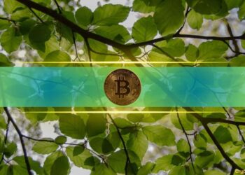Bitcoin’s Recovery Gains Momentum, Putting July Off to a Strong Start