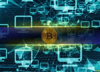 Bitcoin Maxi Warns BIP-110 Failure Could Mean the End of Permissionless Money