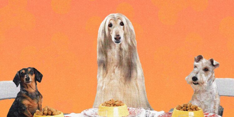 We Make Lovely Home-Cooked Meals for Ourselves. Why Not Do the Same for Our Dogs?