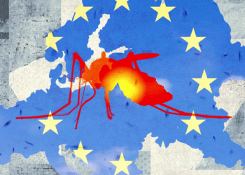 Tropical Diseases Like Dengue Fever and Chikungunya Are on the Rise in Europe