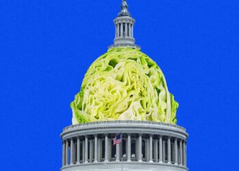 Taylor Farms Spent Big on MAGA and Anti-Regulatory Lobbying Before Diarrhea Outbreak