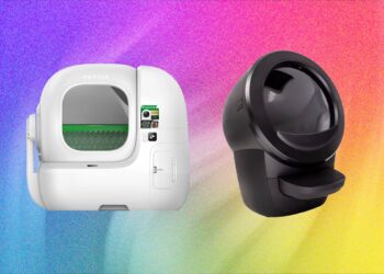 The Best Automatic Litter Box of 2026: Petkit and Litter-Robot