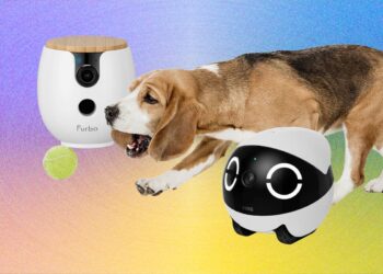 The 10 Best Pet Cameras of 2026: Furbo, Petcube, and Enabot