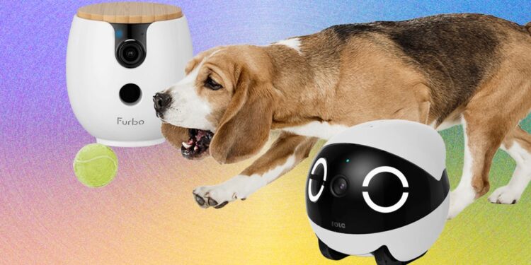 The 10 Best Pet Cameras of 2026: Furbo, Petcube, and Enabot