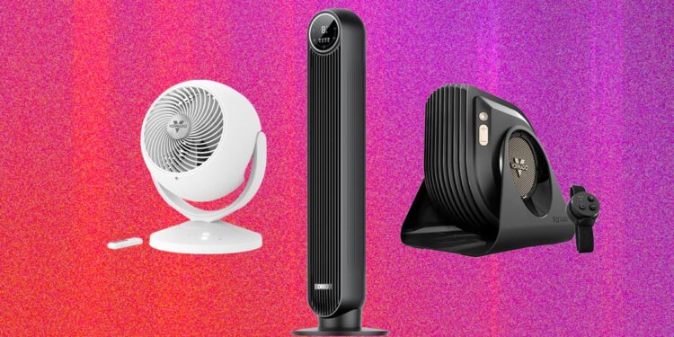 The 13 Best Fans for Getting Through Sweaty Days (2026)
