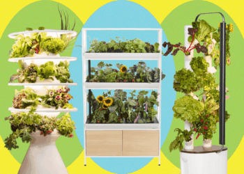 Best Indoor Garden Systems: I've Been Testing All Year (2026)