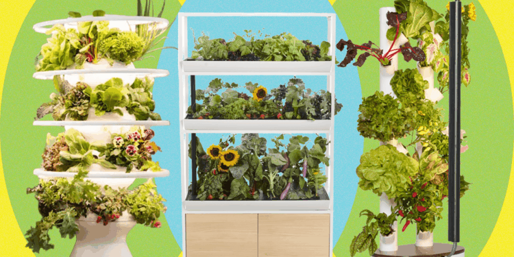 Best Indoor Garden Systems: I've Been Testing All Year (2026)