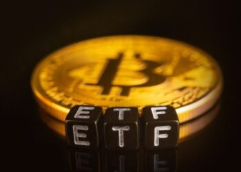Bitcoin ETFs Add $203 Million as Assets Climb Above $80 Billion