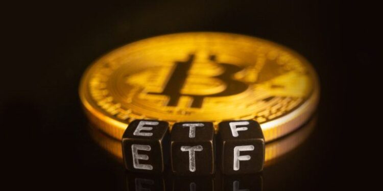 Bitcoin ETFs Add $203 Million as Assets Climb Above $80 Billion