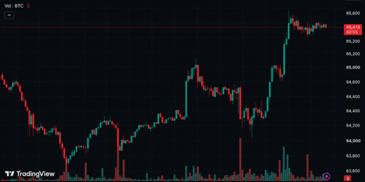 Bitcoin Roars Back Above $65K as Iran War Fails to Break Whale Buying Frenzy