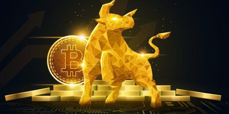 Bull Market in Sight: Bitwise Sees Bottom Forming Ahead of Fall Rally