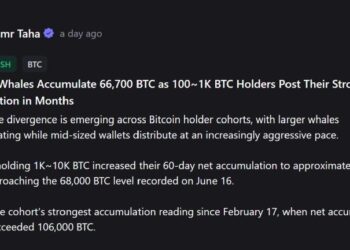 Whales vs. Mid-Tier Holders: The Dramatic Shift in Bitcoin Ownership Splitting the Market