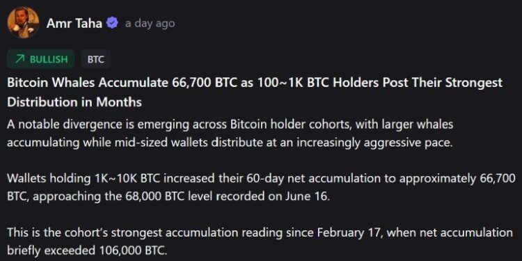 Whales vs. Mid-Tier Holders: The Dramatic Shift in Bitcoin Ownership Splitting the Market