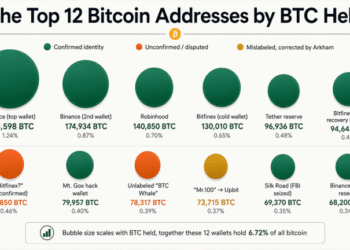 Inside the Top 12 Bitcoin Addresses: Who Holds 1.35 Million BTC