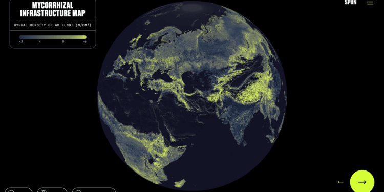 There’s a Global Network alternative of Fungi Under Your Feet. This Is the First Complete Map
