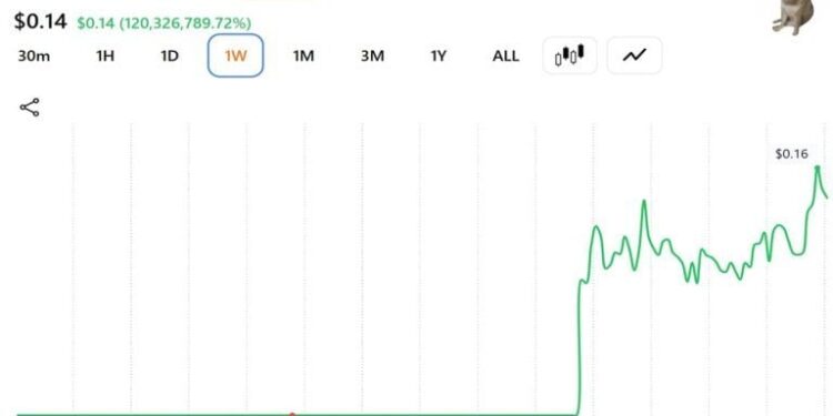 This Trader Sold His CASHCAT for $711 Instead of Retiring: Here’s the Math