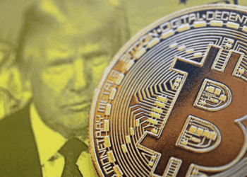 The Fed Liquidity Signal That Predicted Bitcoin’s Top 8 Months Early