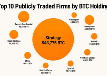 Top 10 Publicly Traded Firms by BTC Holdings Reveal a Million-Bitcoin Power Bloc