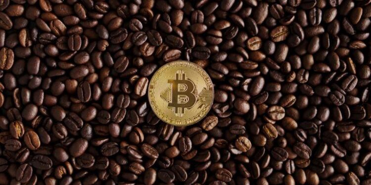 Vanadi Coffee’s Bitcoin Pivot Soured by Exorbitant Board Fees and Shareholder Revolt