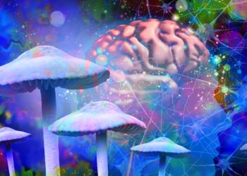Psilocybin Might Make Your Brain Live in the Moment
