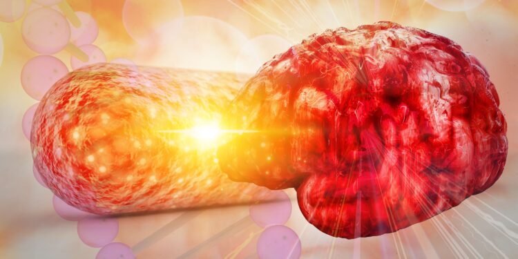 There’s a New Link Between Gut Health and Alzheimer’s Disease