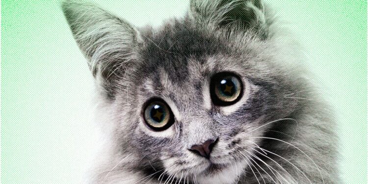 AI Slop Is Ruining Cute Animals on the Internet