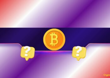 Bitcoin’s Bear Market Isn’t Over? These Analysts Expect a Major Crash in the Short Term