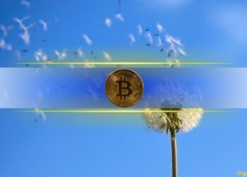 Bitcoin Holds Key Support as On-Chain Data Shows Fresh Accumulation