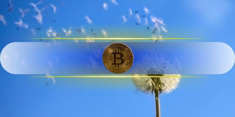 Bitcoin Holds Key Support as On-Chain Data Shows Fresh Accumulation