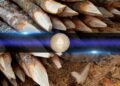 Ethereum Proposal Seeks to Cap ETH Staking at 50% of Supply