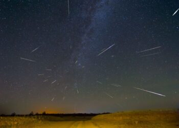 How and When to View the Perseid Meteor Shower (August 2026)
